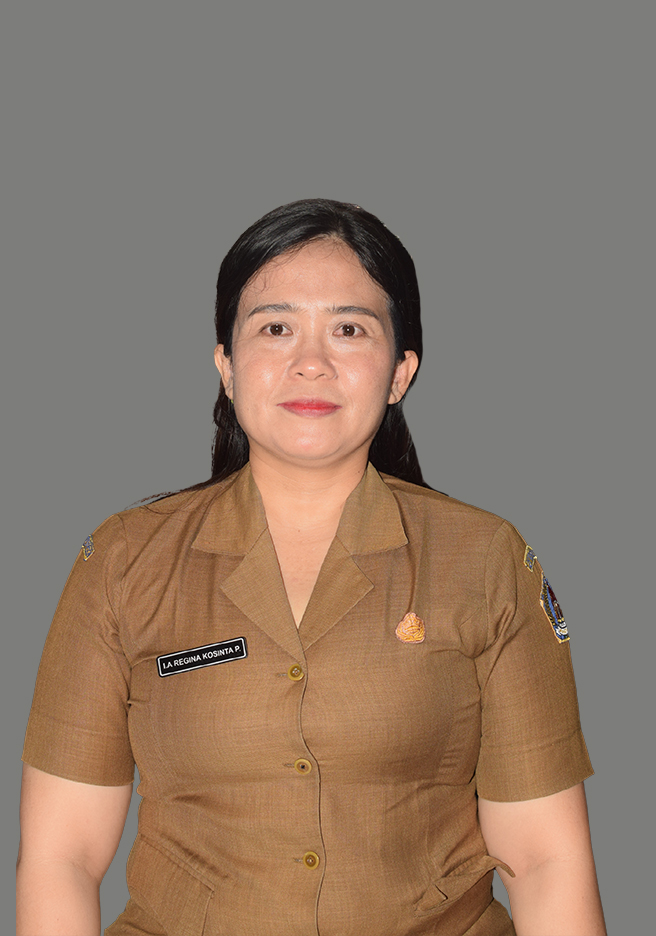 Ida Ayu Regina Kosinta Putri, S.KM., M.Kes.
