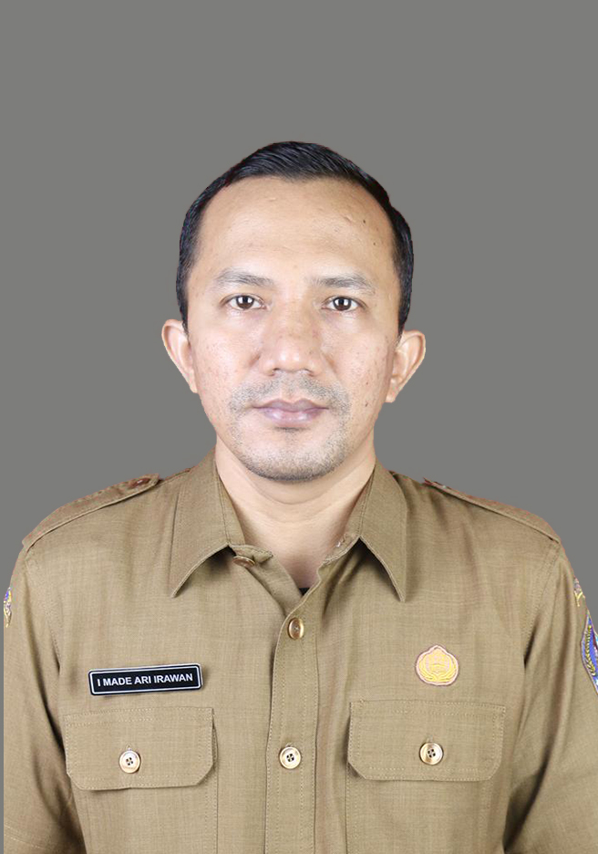 Ns. I Made Ari Irawan, S.Kep