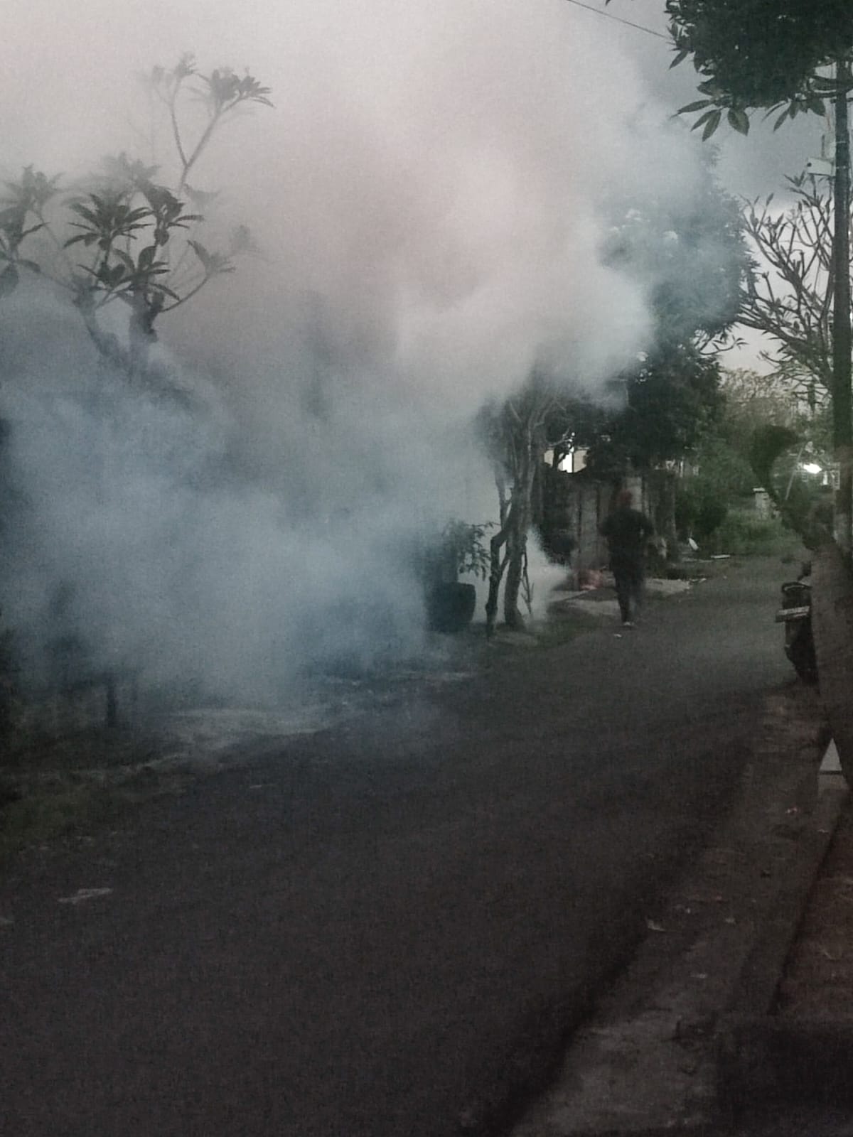 giat fogging siklus kedua di lingkungan tojan