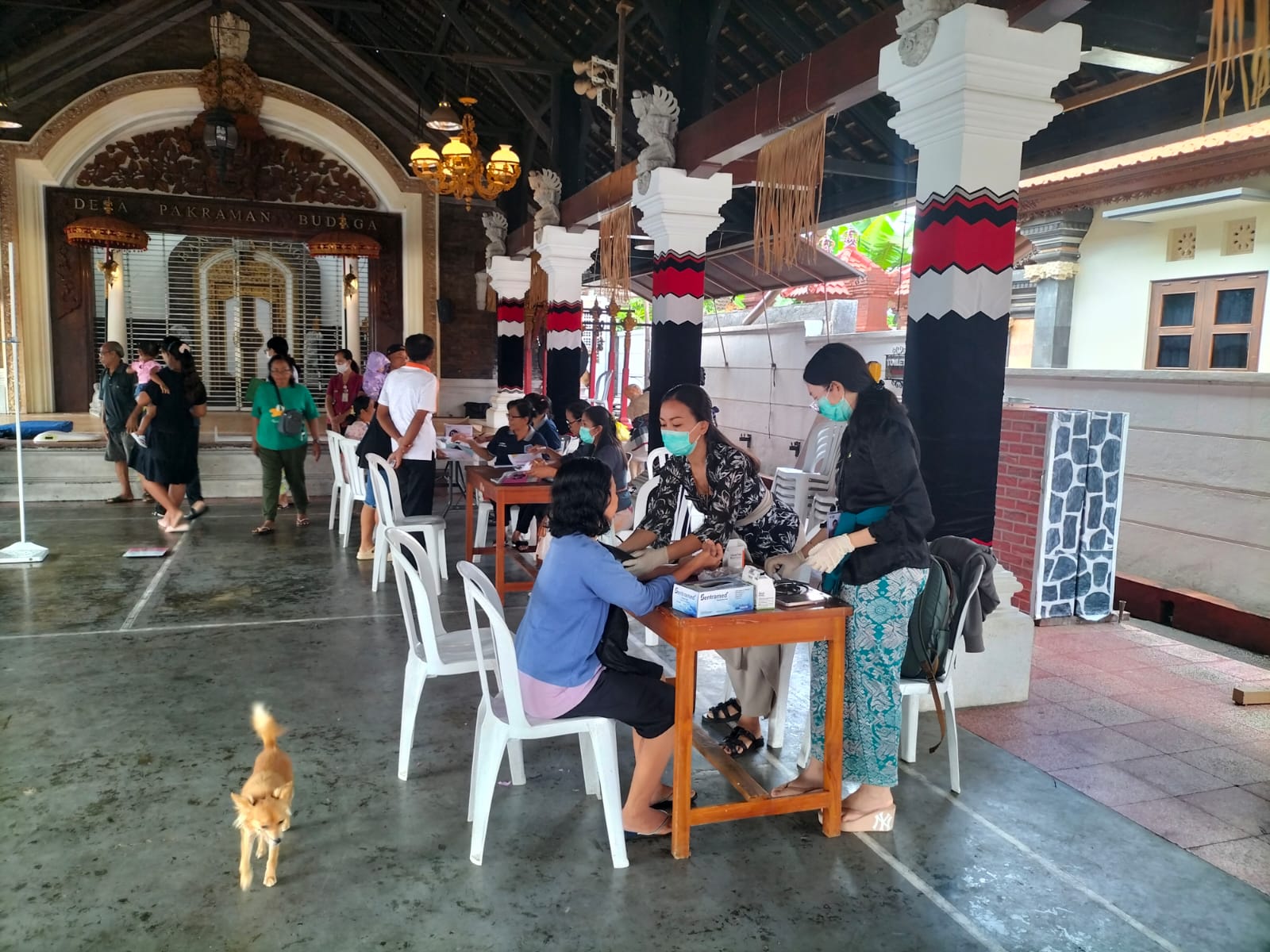 giat posyandu ILP Saraswati di Banjar Budaga Semarapura Kauh