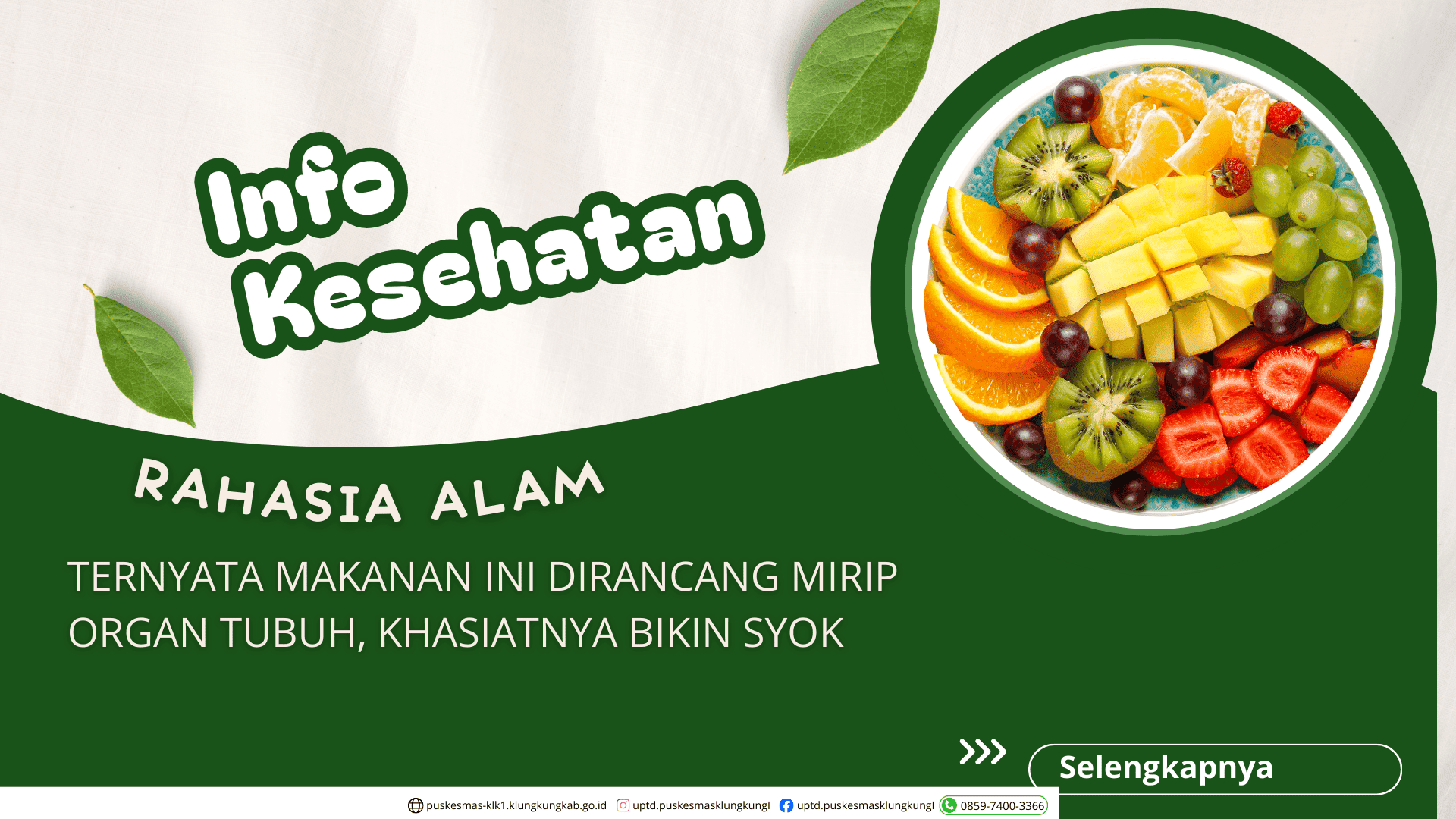 info kesehatan khasiat makanan dan organ yang sama