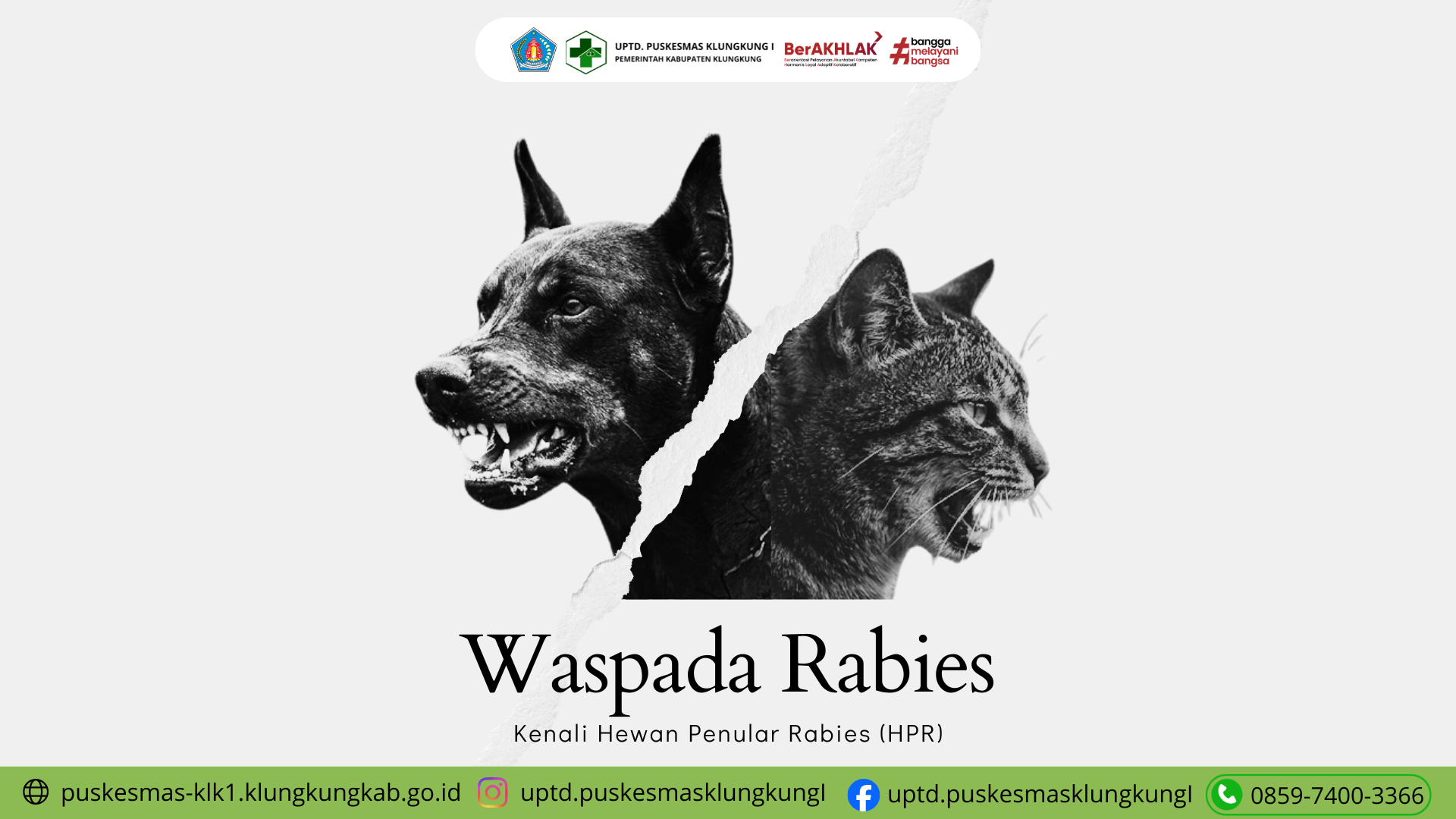 WASPADA RABIES: Kenali Tanda pada Hewan dan Langkah Tepat Penanganannya!
