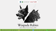 WASPADA RABIES: Kenali Tanda pada Hewan dan Langkah Tepat Penanganannya!