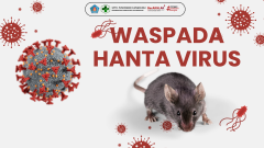 WASPADA VIRUS HANTA